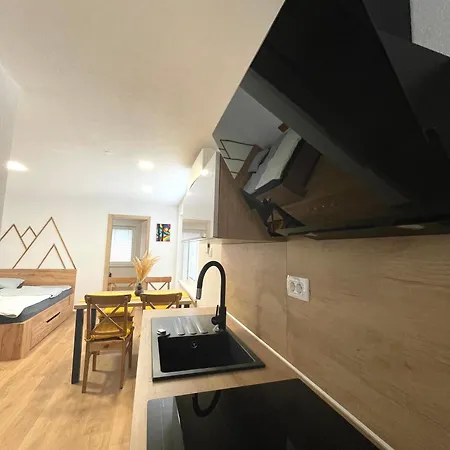 And Pri Baslju Apartment