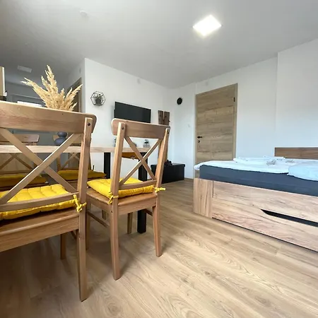 And Pri Baslju Apartmán *