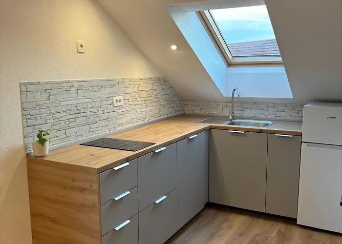 Apartament And Pri Baslju *