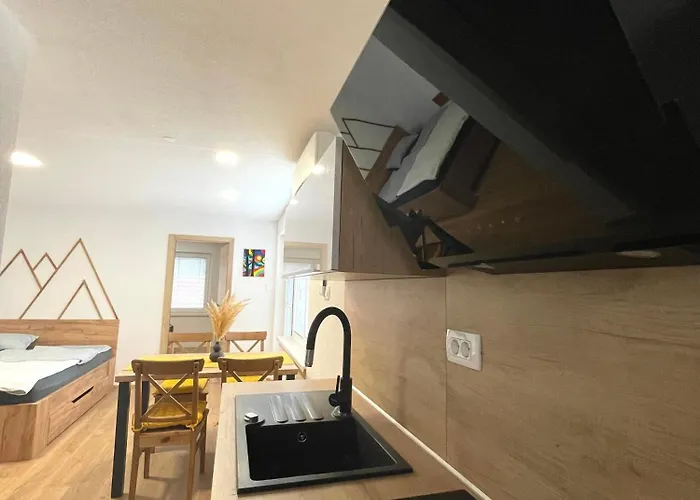 And Pri Baslju Apartament