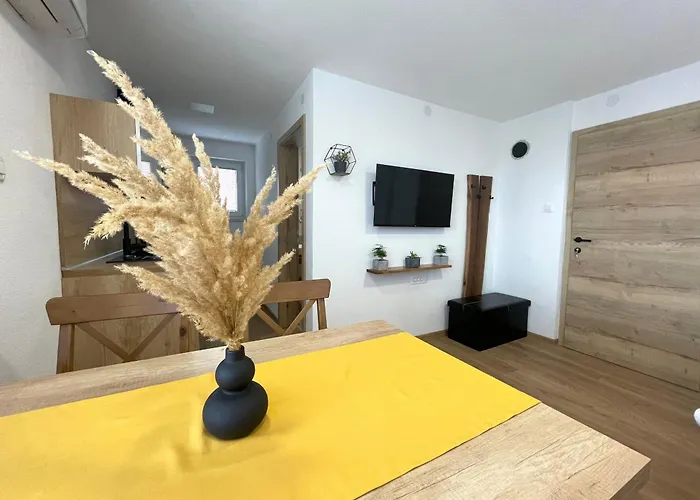 And Pri Baslju Apartament