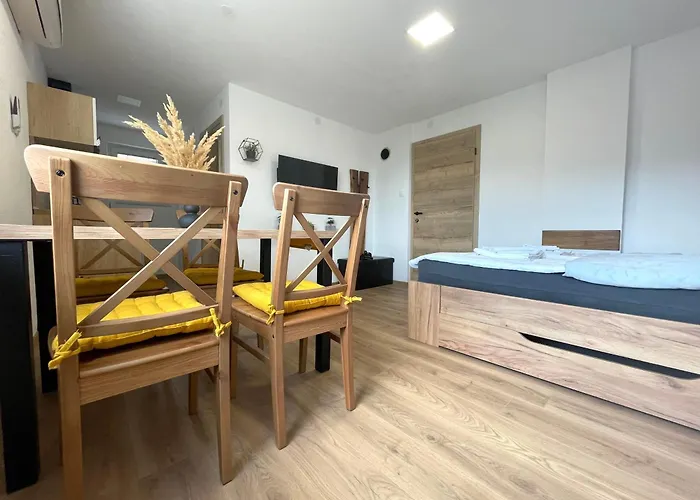 And Pri Baslju Apartament *